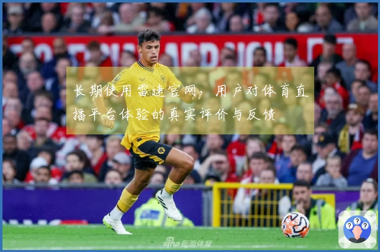 长期使用雷速官网，用户对体育直播平台体验的真实评价与反馈